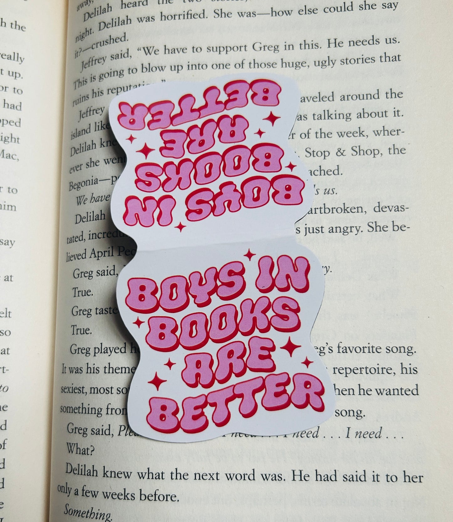 Boys in Books are Better Magnetic Bookmark