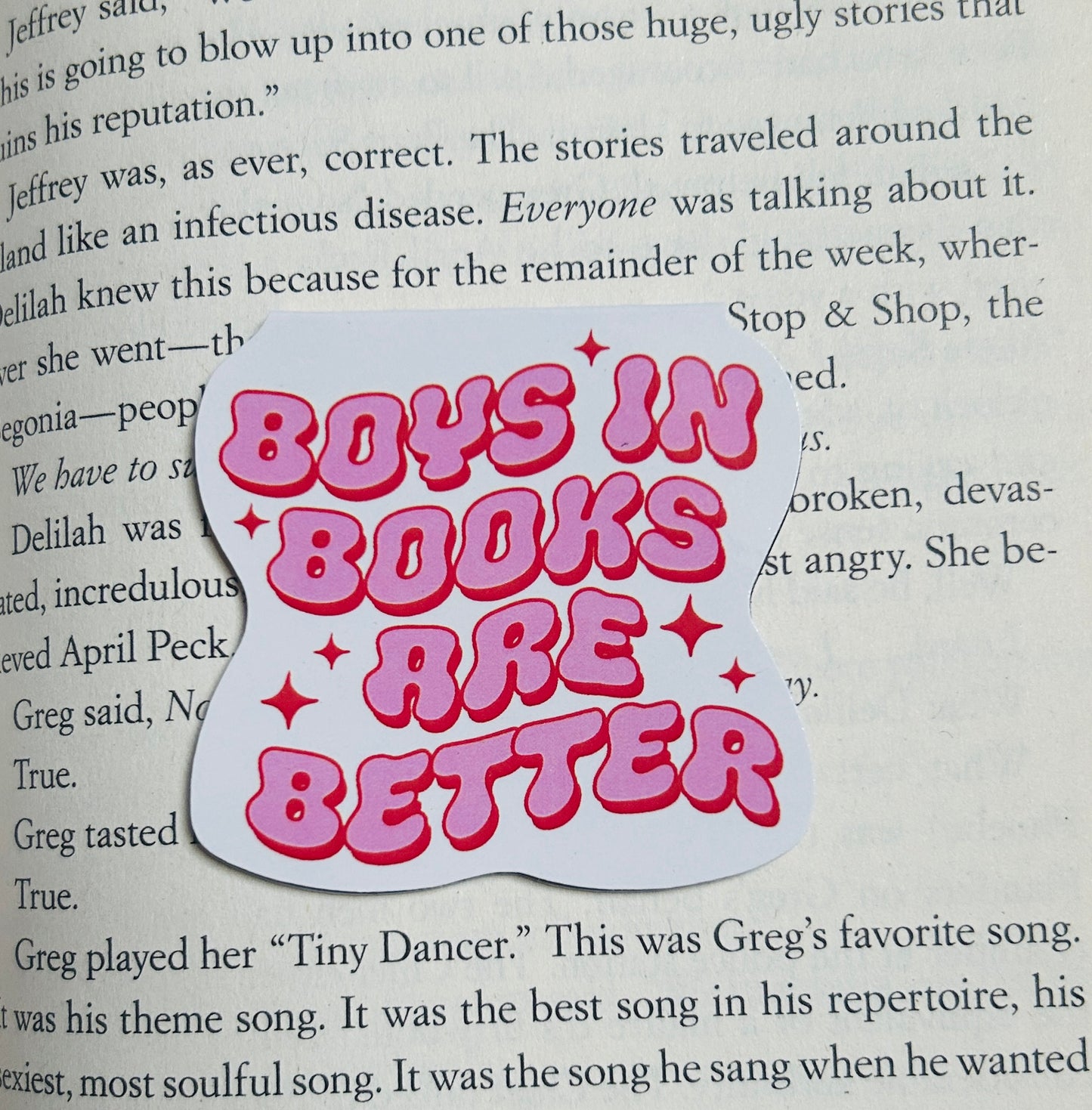 Boys in Books are Better Magnetic Bookmark