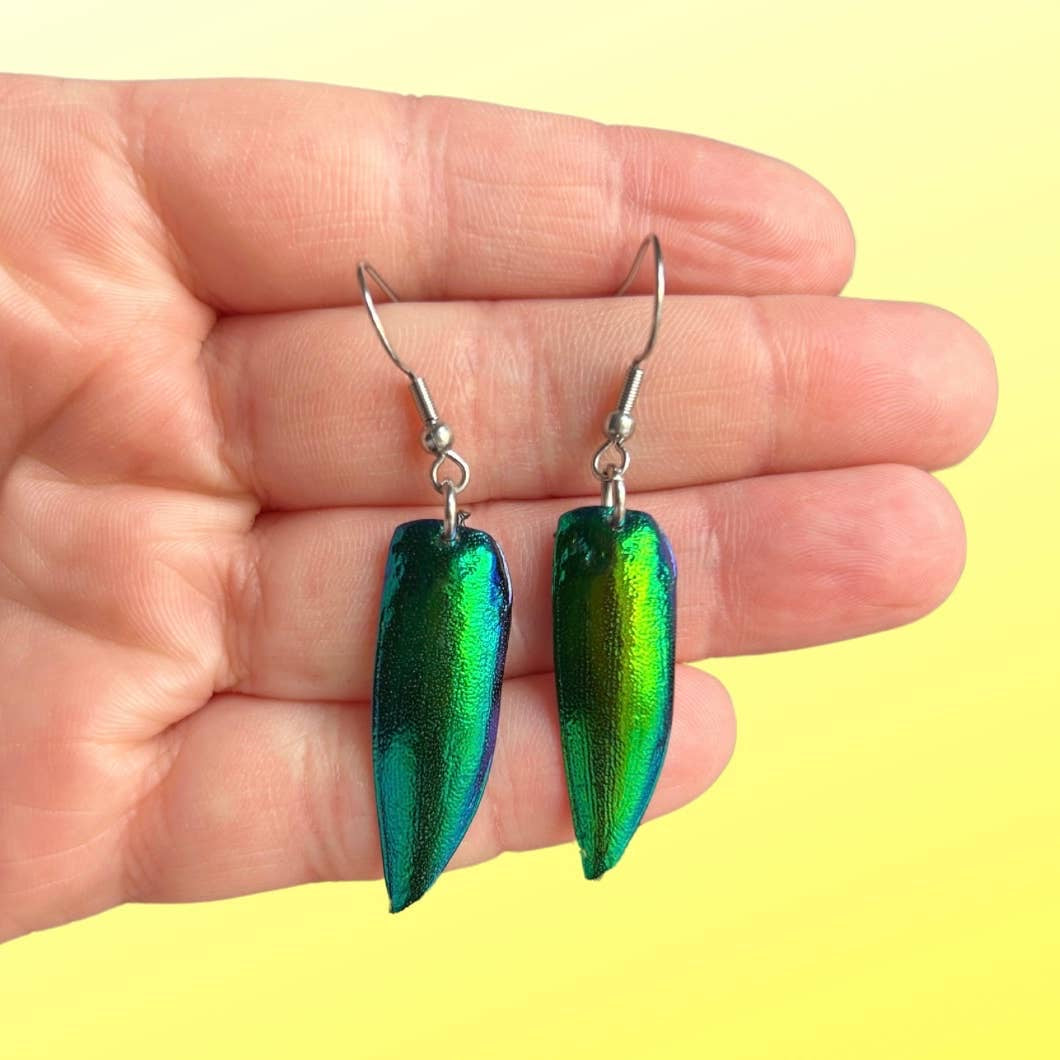 Beetle Earrings