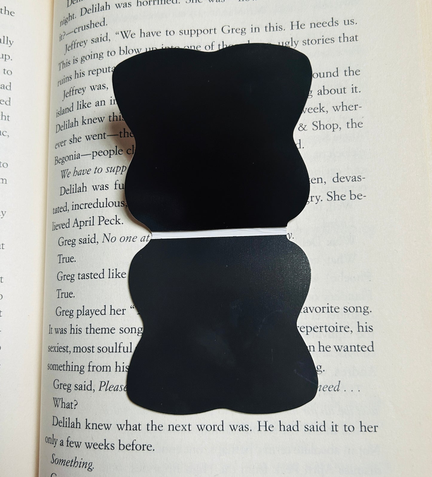Boys in Books are Better Magnetic Bookmark