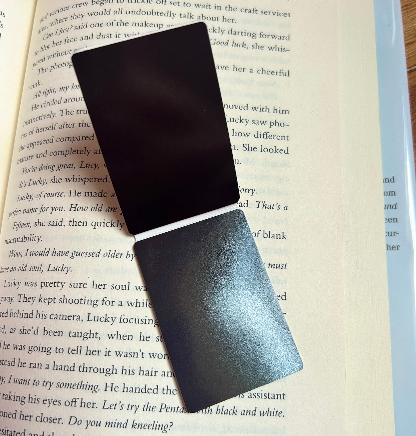 A Court of Thorns and Roses Magnetic Bookmark