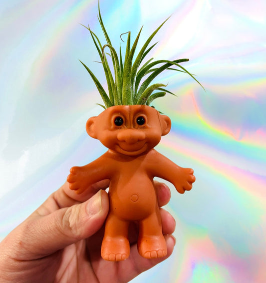 Troll Doll Air Plant Holder