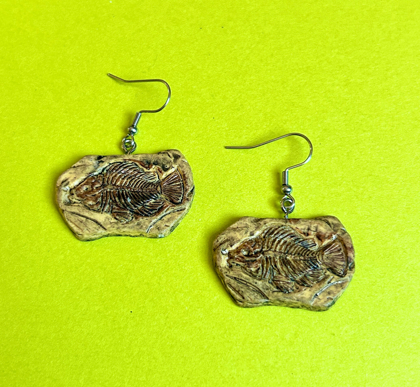 Fossil Earrings