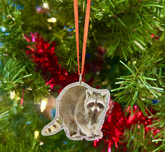 Raccoon Ornament