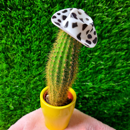 Cow Print Cowboy Hats for Plants